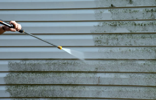 Best Driveway Pressure Washing  in Micco, FL